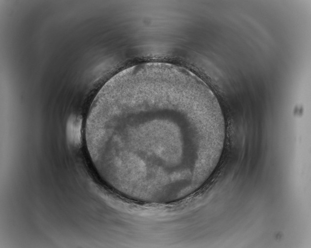 X0000098000024200804071230