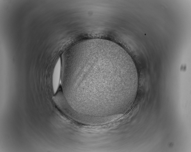 X0000098000025200804071230