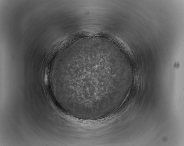 X0000098000026200804071230