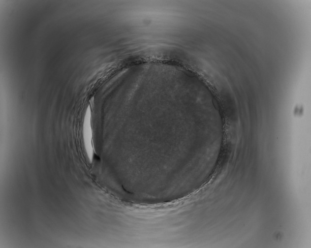 X0000098000029200804071230