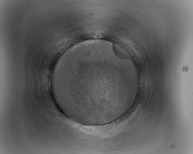 X0000098000030200804071230