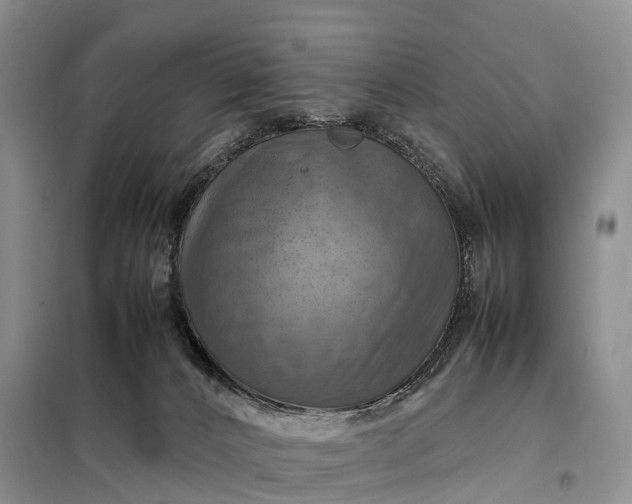 X0000098000032200804071230