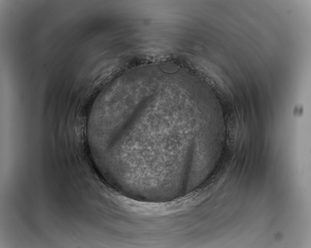 X0000098000034200804071230