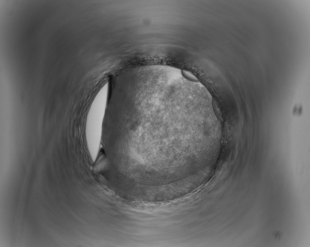 X0000098000037200804071230