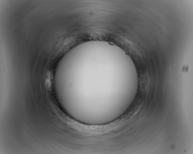 X0000098000038200804071230