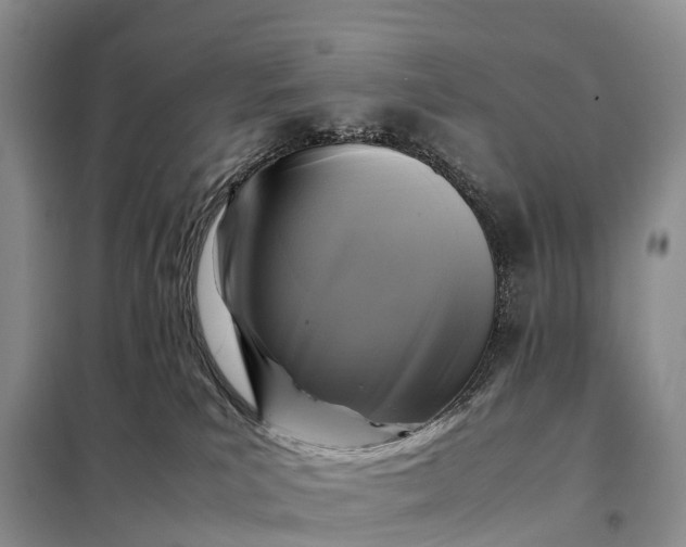 X0000098000039200804071229