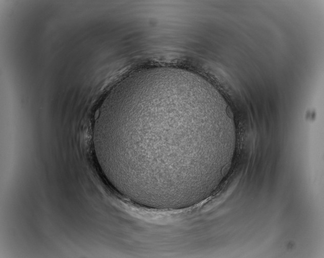 X0000098000040200804071229