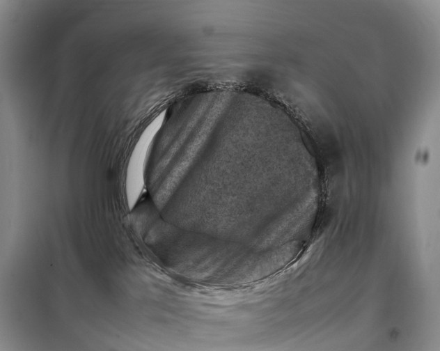 X0000098000041200804071229