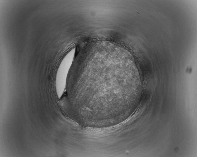 X0000098000045200804071229
