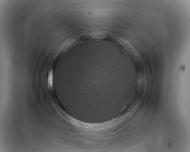 X0000098000046200804071229