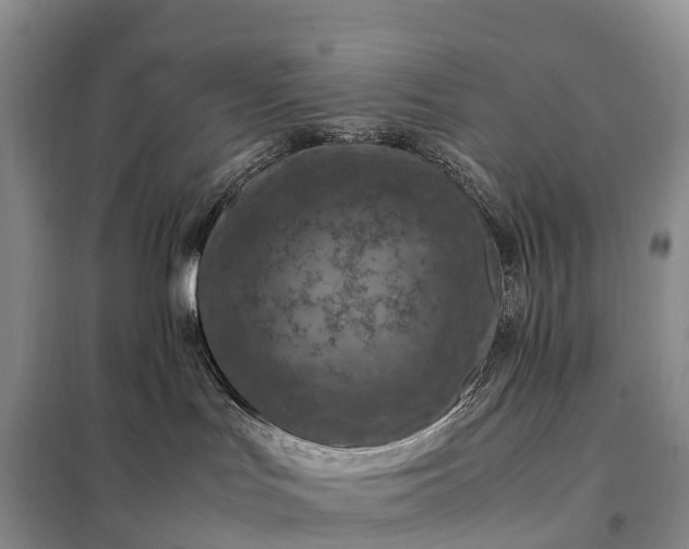 X0000098000047200804071229