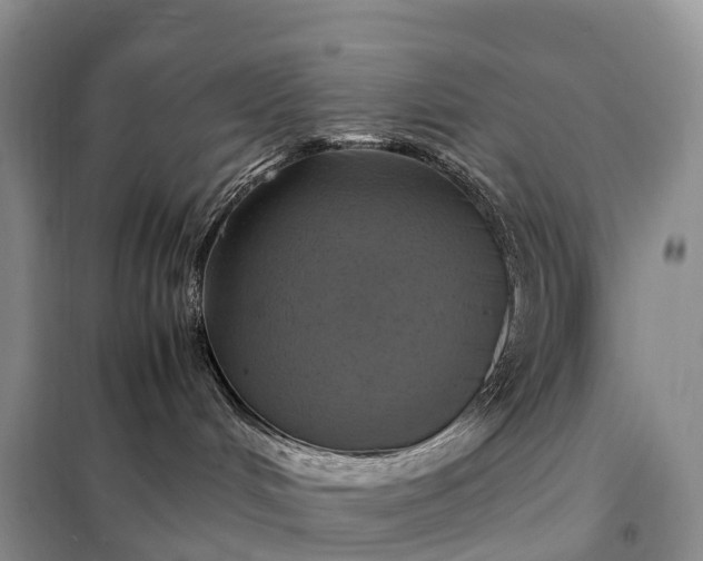 X0000098000048200804071229