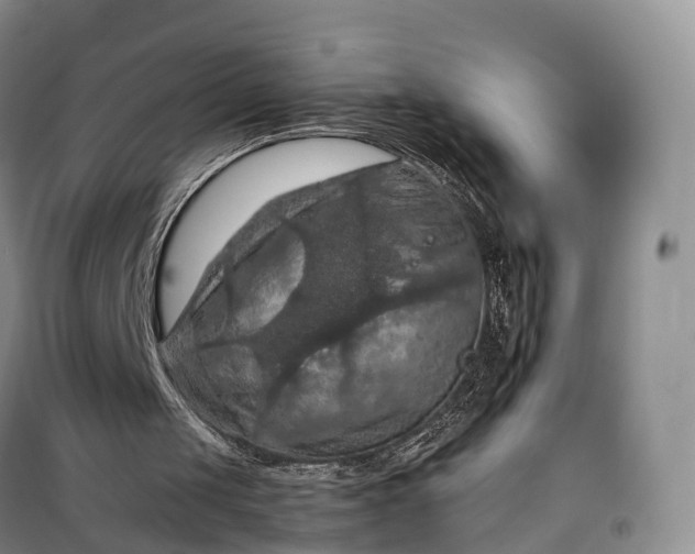X0000098000049200804071229