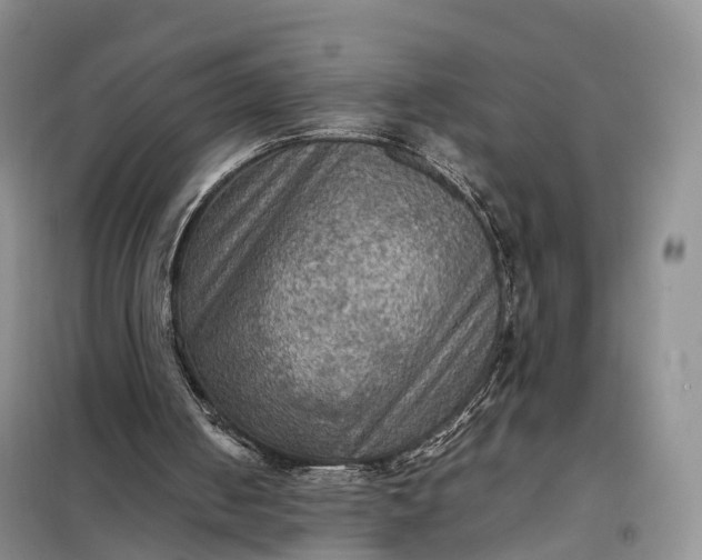 X0000098000050200804071229