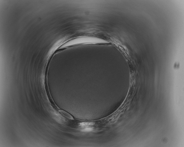 X0000098000051200804071229