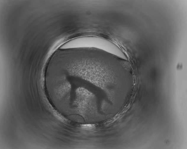 X0000098000053200804071229