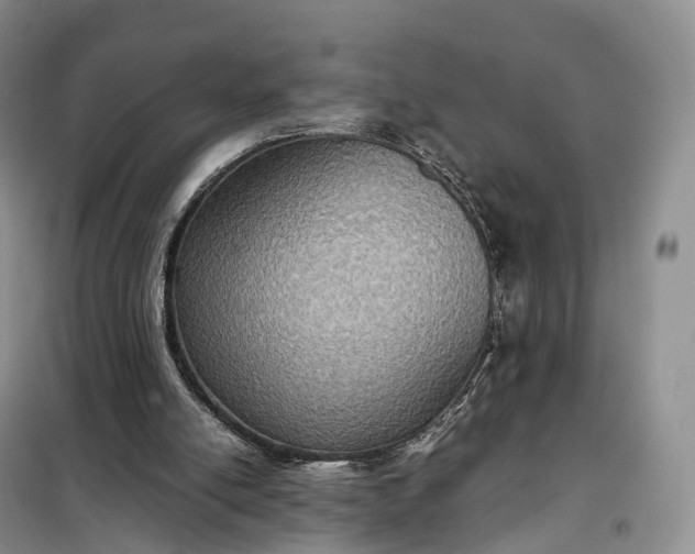 X0000098000054200804071229