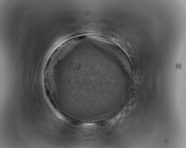 X0000098000055200804071229