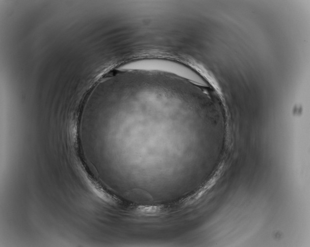 X0000098000057200804071229