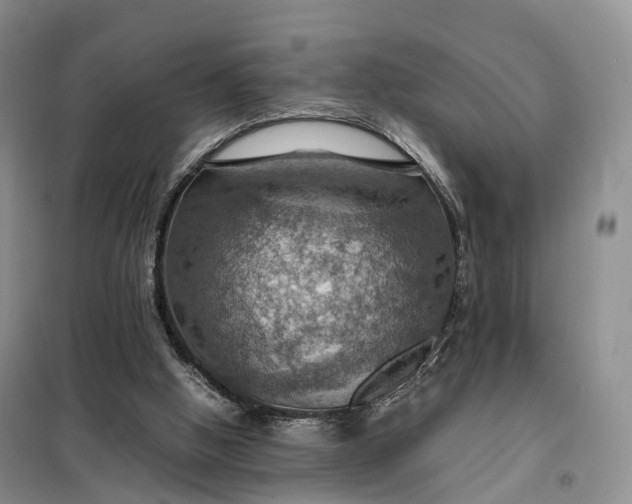 X0000098000058200804071229