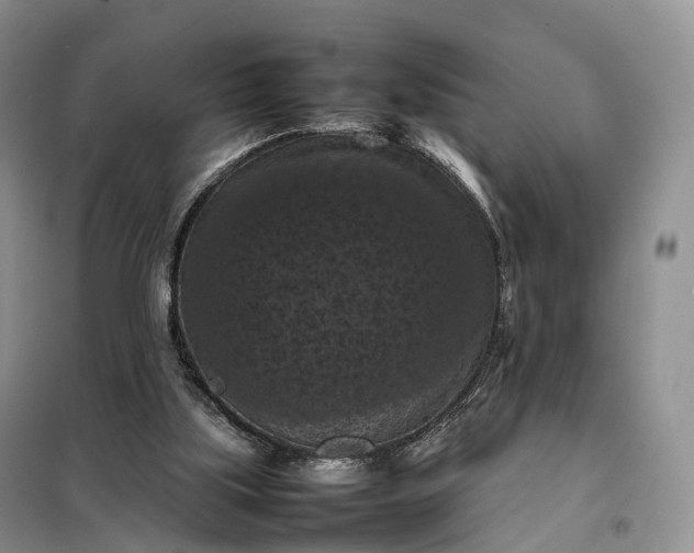 X0000098000059200804071229