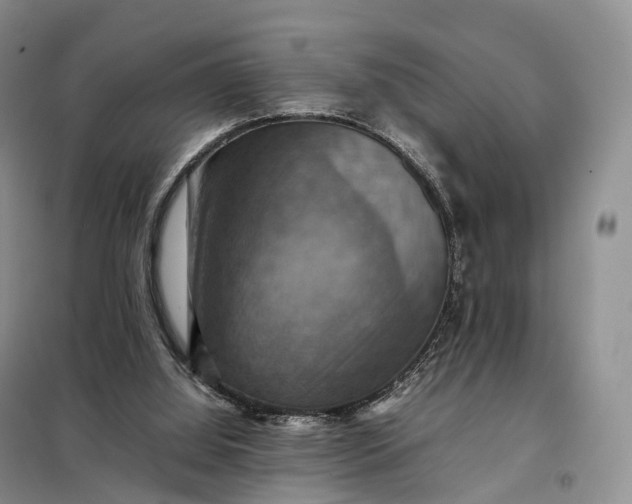 X0000098000060200804071229
