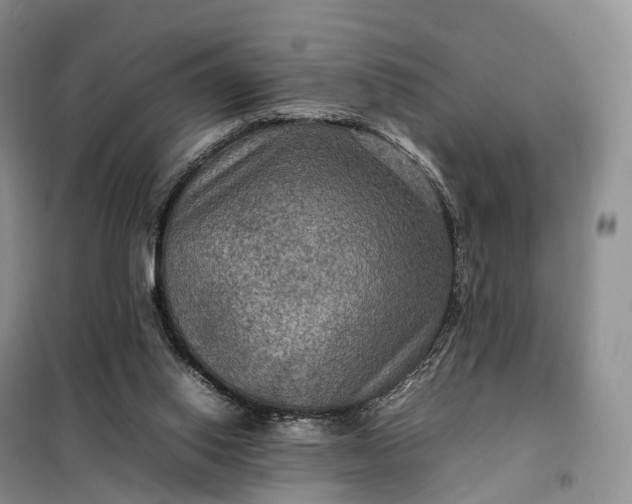 X0000098000062200804071229