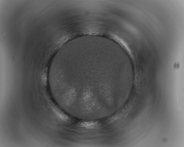 X0000098000065200804071229