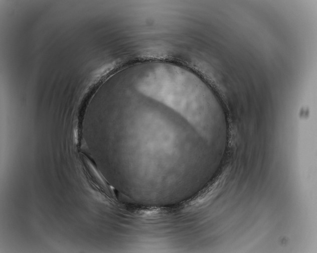 X0000098000068200804071229