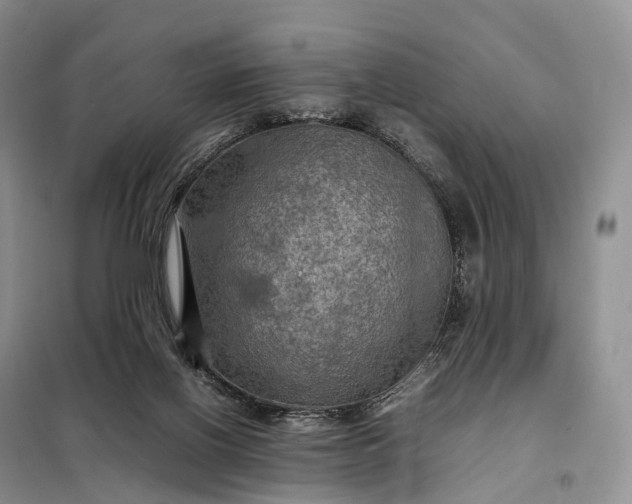 X0000098000070200804071229