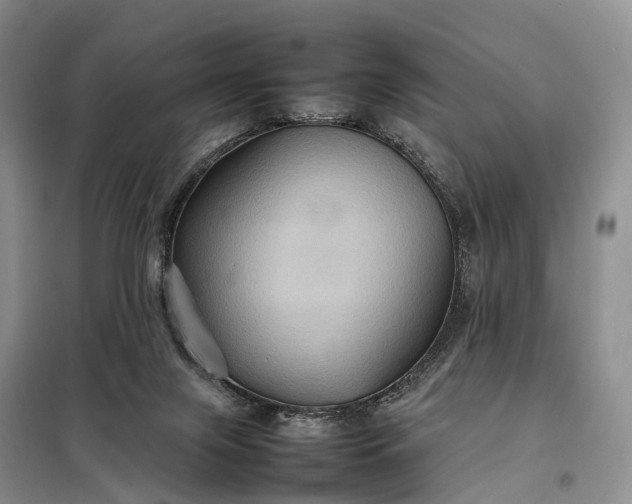 X0000098000071200804071229