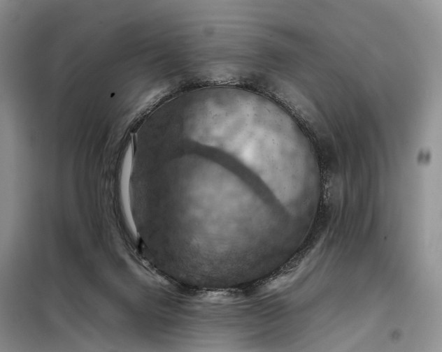 X0000098000072200804071229
