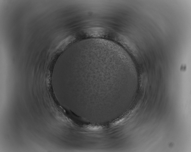 X0000098000073200804071229