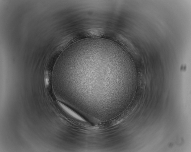 X0000098000075200804071229