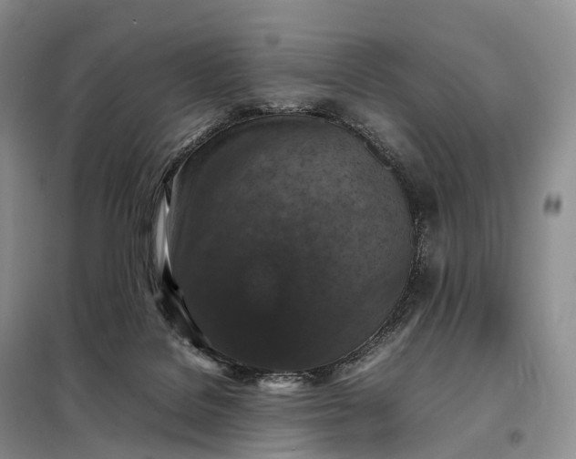 X0000098000076200804071229