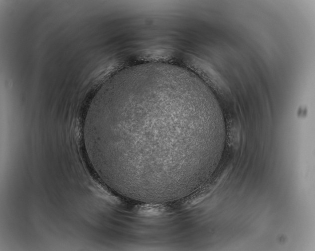 X0000098000077200804071229