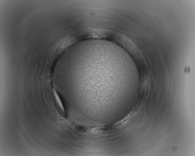 X0000098000078200804071229