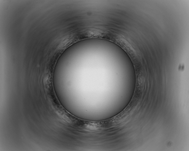 X0000098000079200804071229