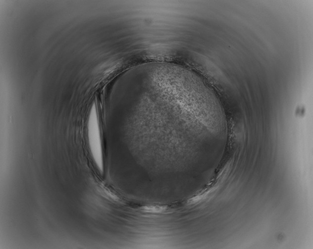 X0000098000080200804071229