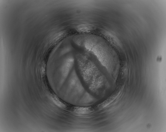 X0000098000081200804071229