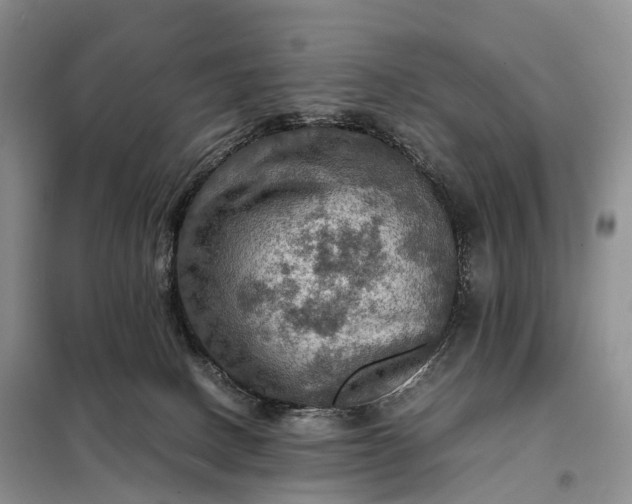 X0000098000082200804071229