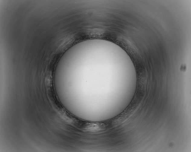 X0000098000083200804071229
