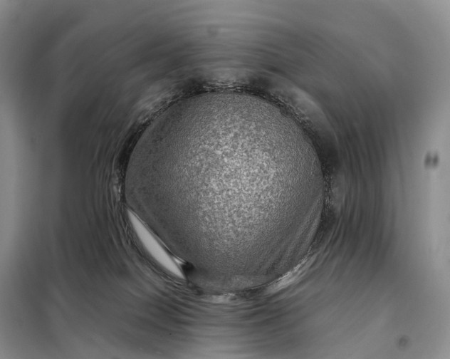 X0000098000086200804071229