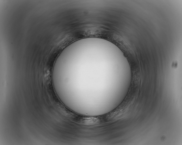 X0000098000087200804071229