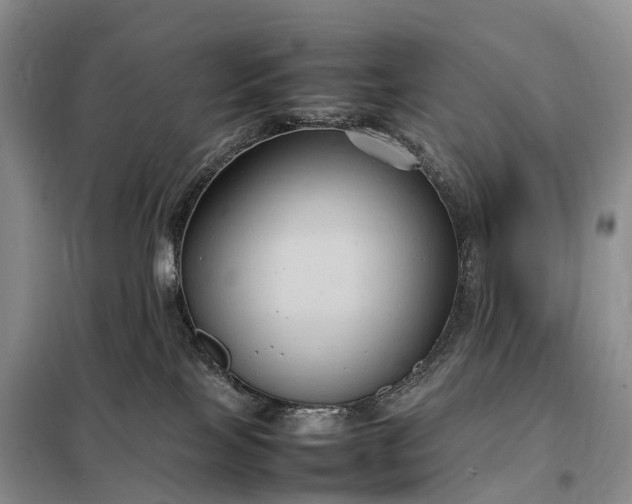 X0000098000089200804071229