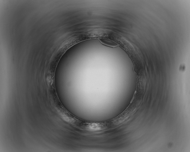 X0000098000091200804071229