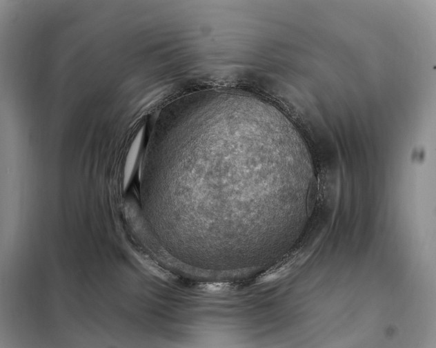 X0000098000092200804071229