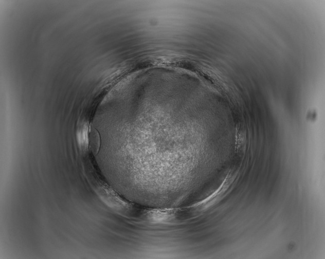 X0000098000094200804071229