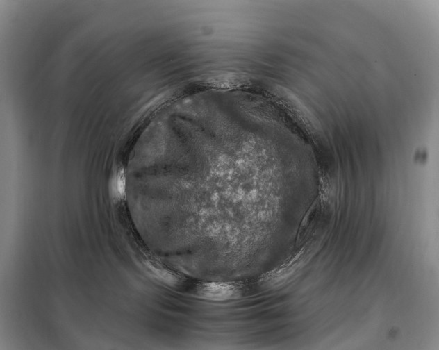 X0000098000095200804071229