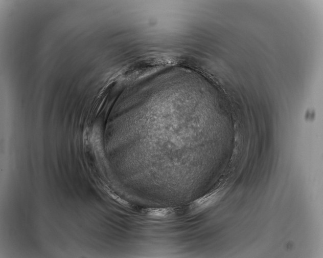 X0000098000096200804071229